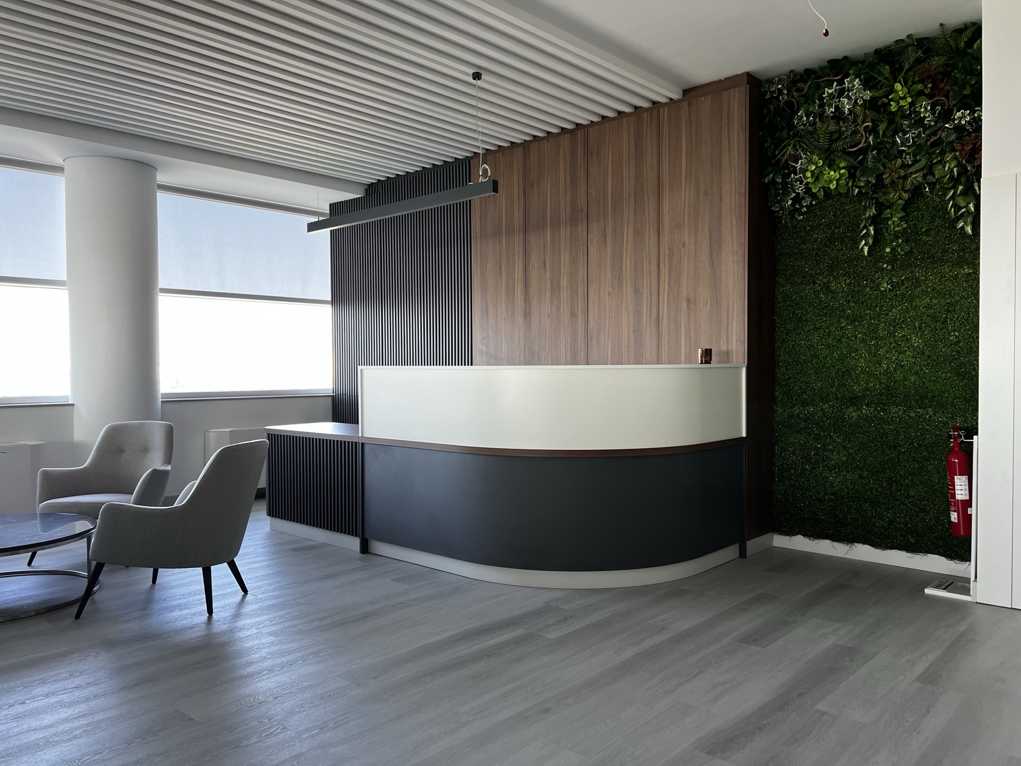 Balcao de rececao curvo em lacado escuro com painel em nogueira, zona de espera com poltronas e jardim vertical